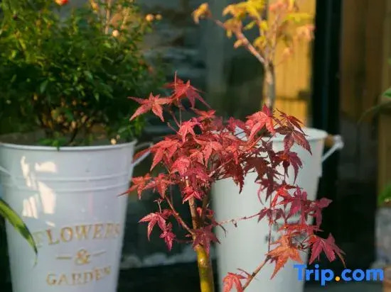 Qiyue Garden Villa Homestay (Shanghai International Tourism Resort)