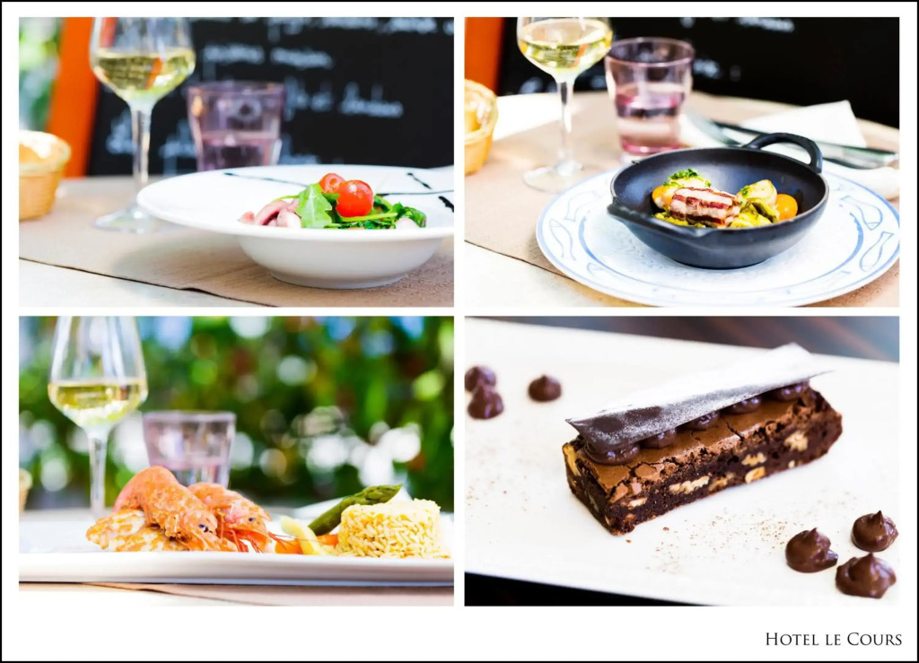 Logis Hôtel Restaurant Le Cours