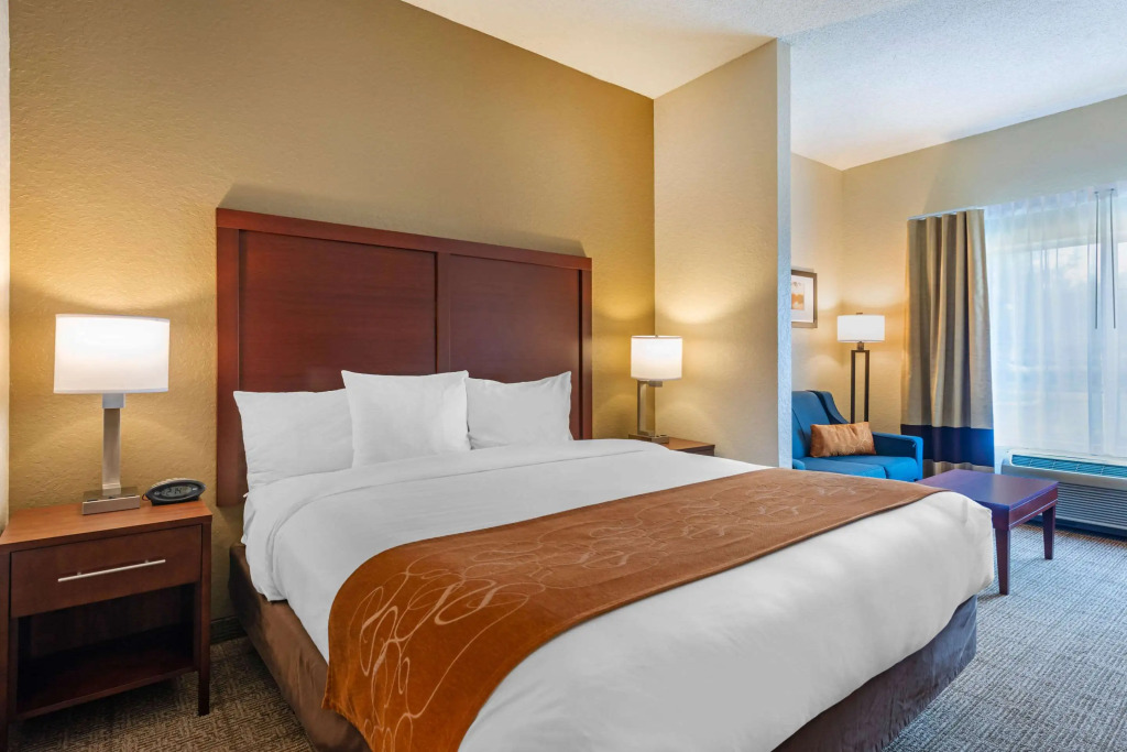 Comfort Suites Downtown