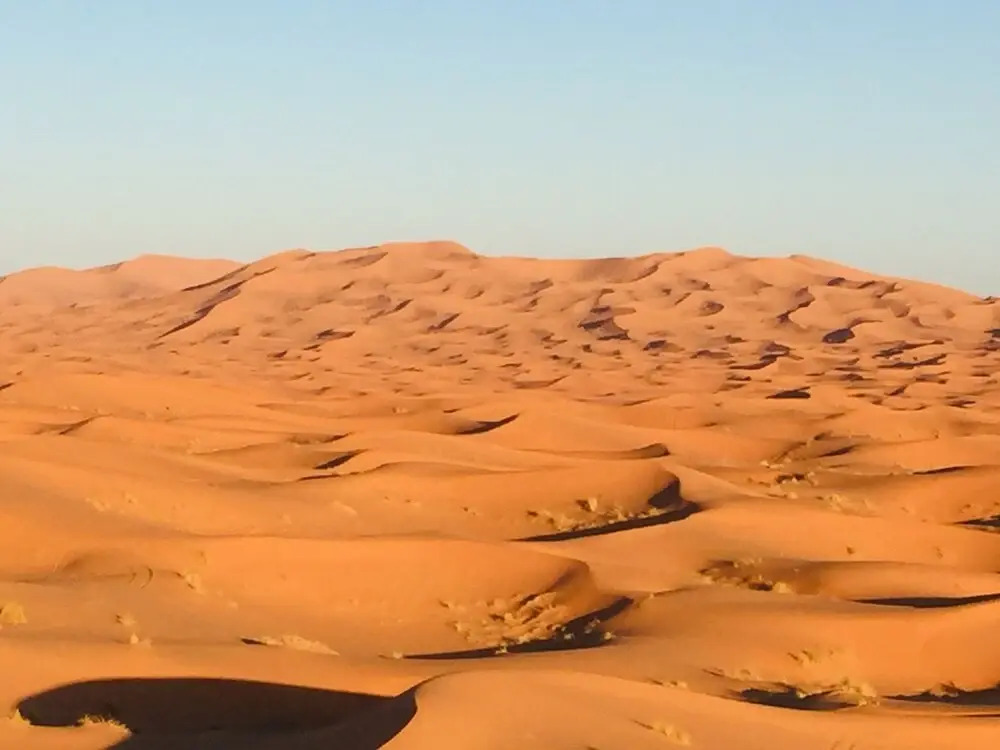 Sahara Sabaku Tour Camp