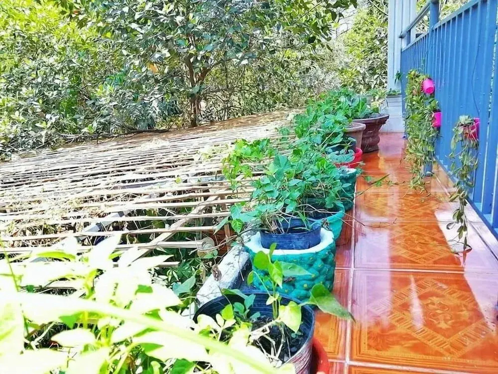 Ella's Villa Siem Reap