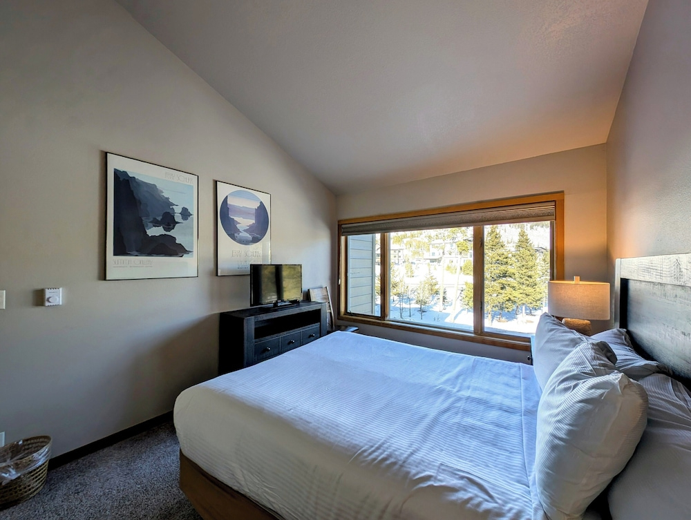 Pines 2169