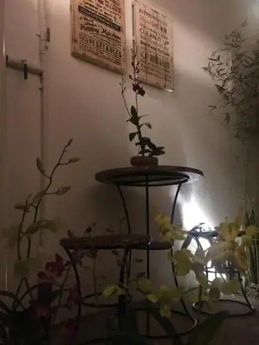 Wood Stone Homestay Yogyakarta