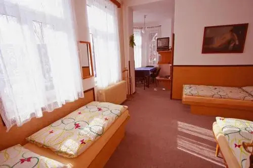 Pension Villa Ludmila