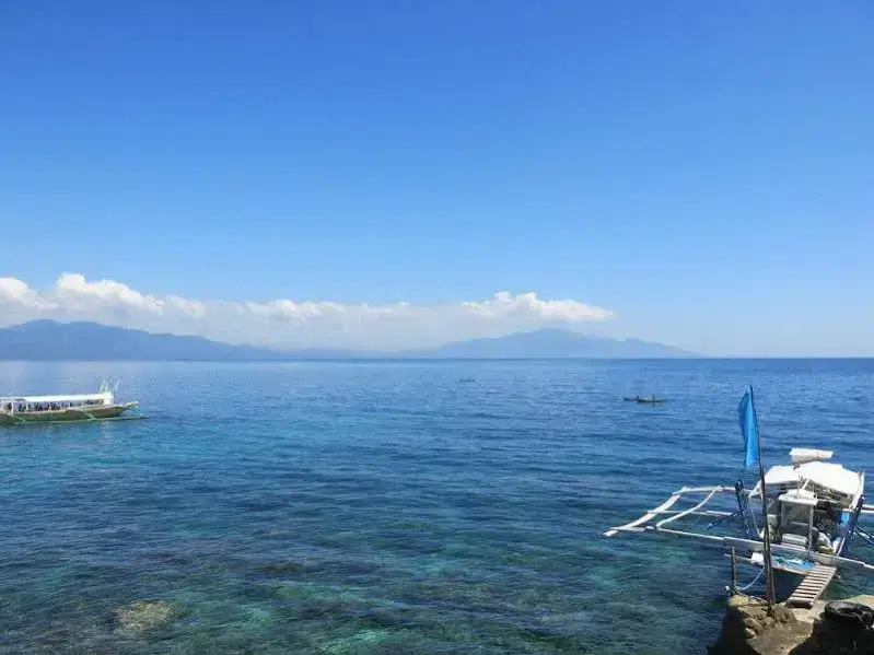 Badladz Beach and Dive Resort