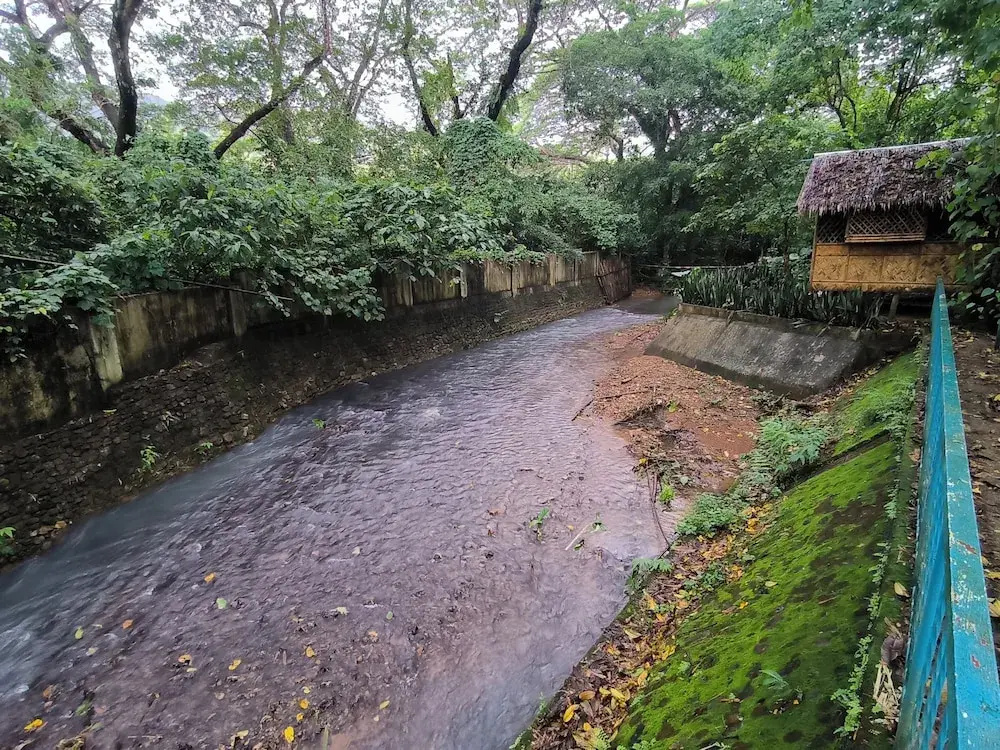 El Bosque Resort
