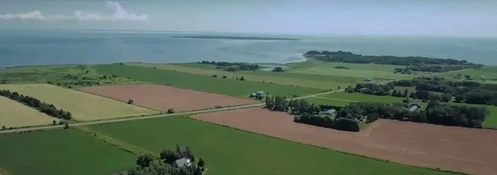 Tremere's Oceanview Cottages