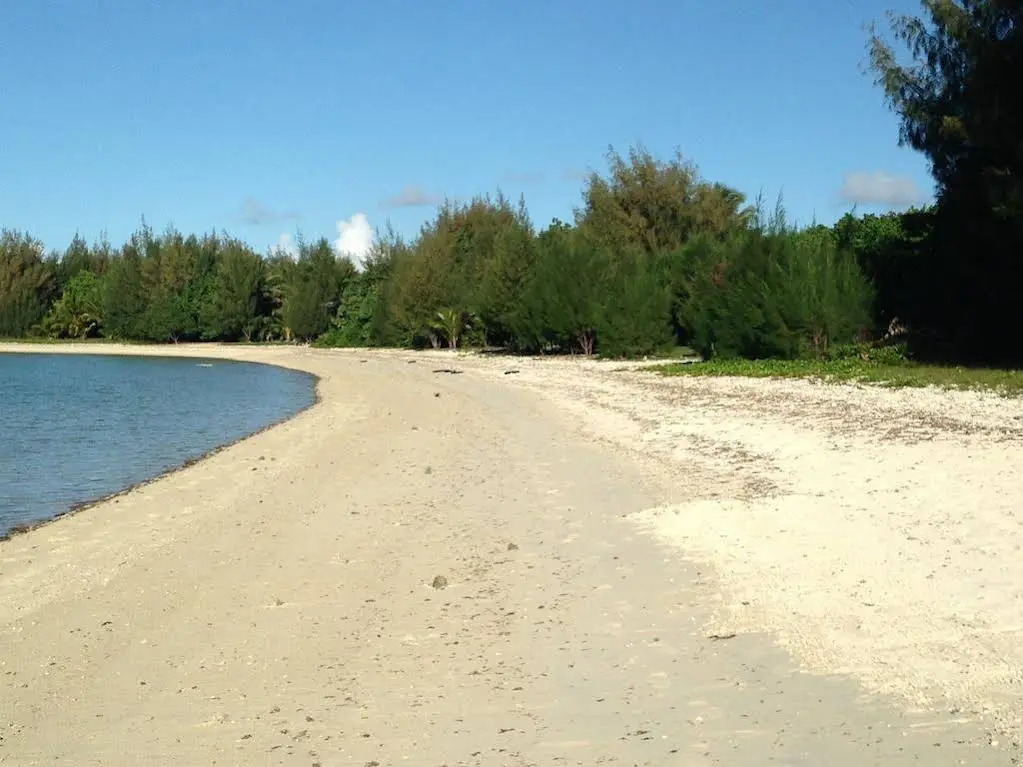 Sunny Bay Beach Bach