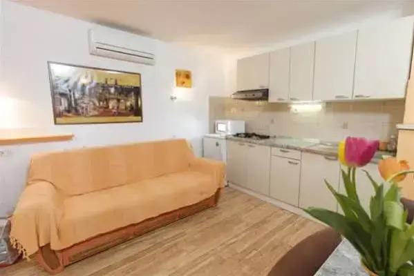 Apartments Curavic