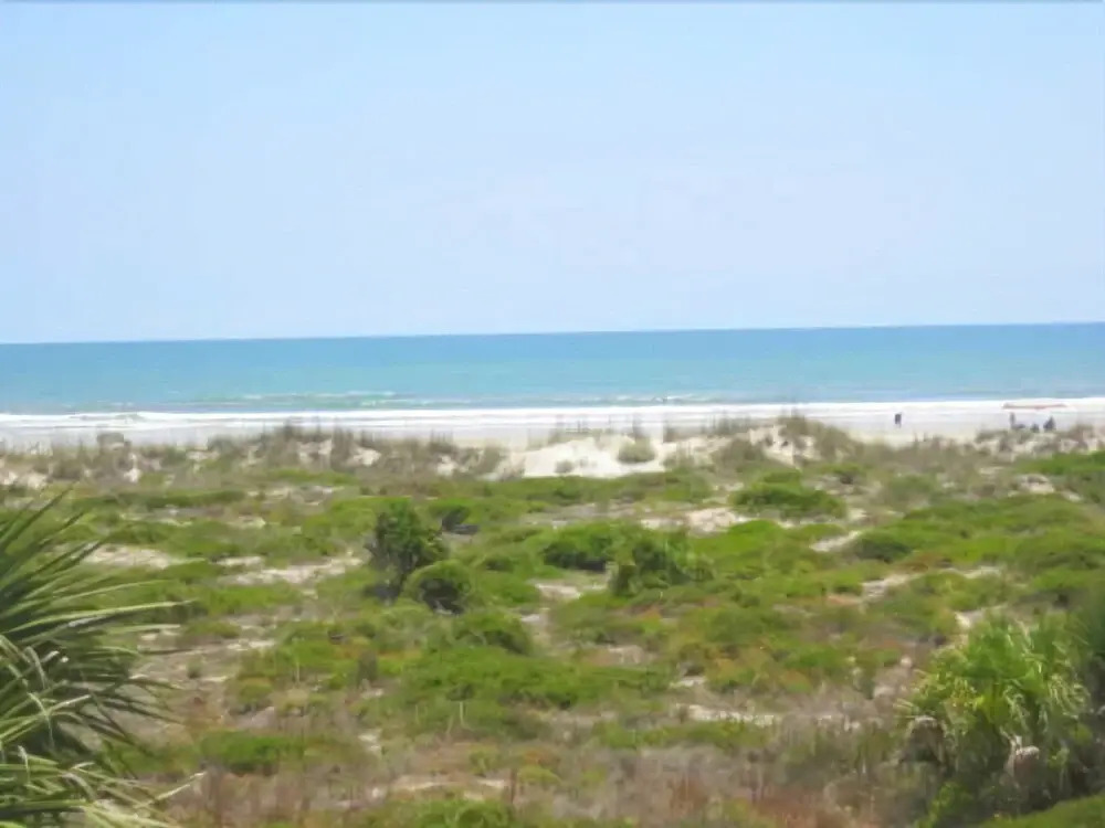 Hibiscus 301D - Two Bedroom Condo with Ocean View