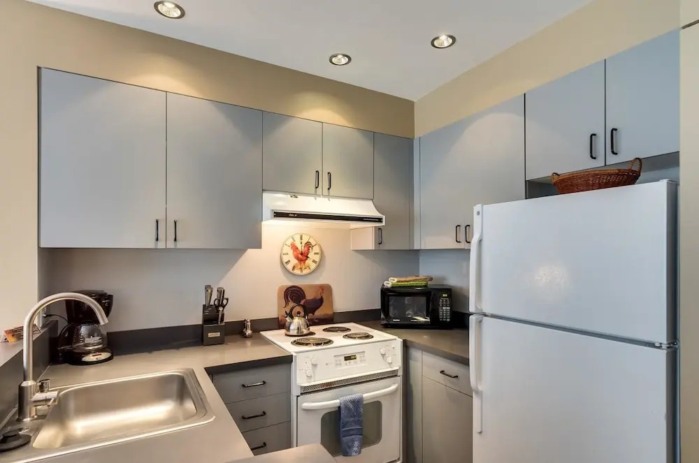 Muscatel Flats 4 1 Bedroom Condo By Accommodations in Telluride
