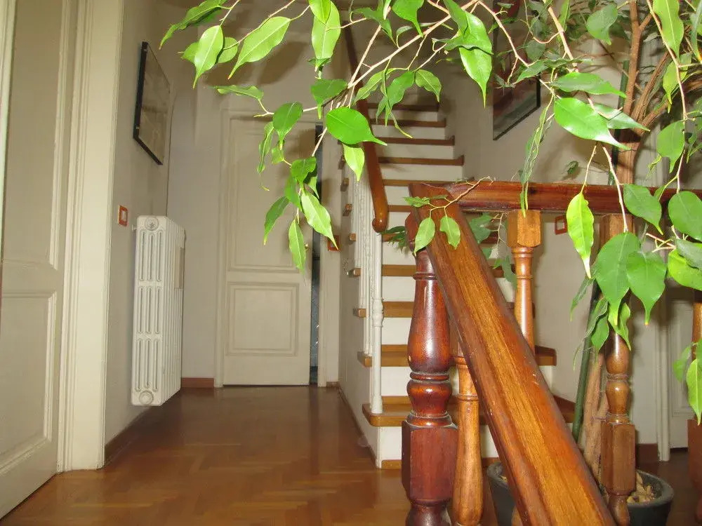 B&B Le Ortensie