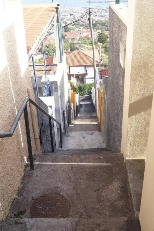 The Hill View House