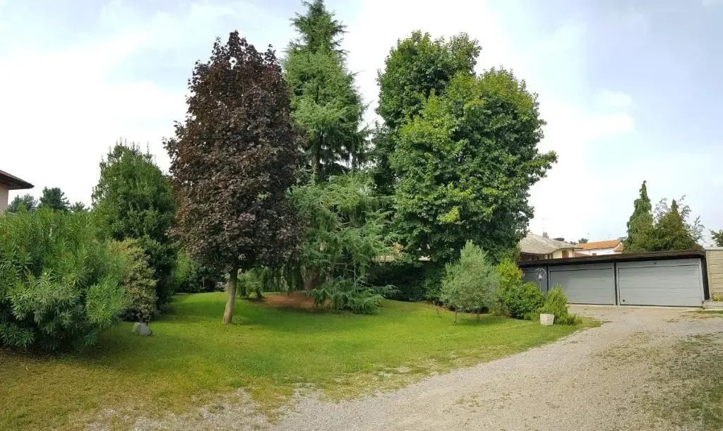 il nido della dani