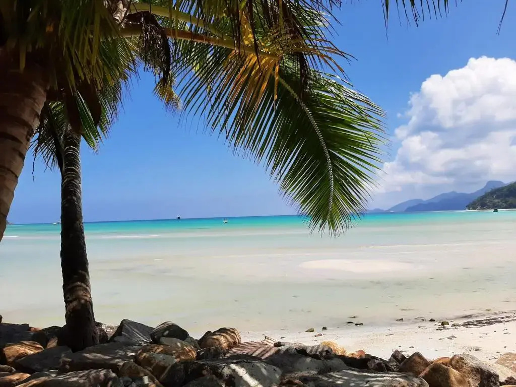 A Peace In Paradise