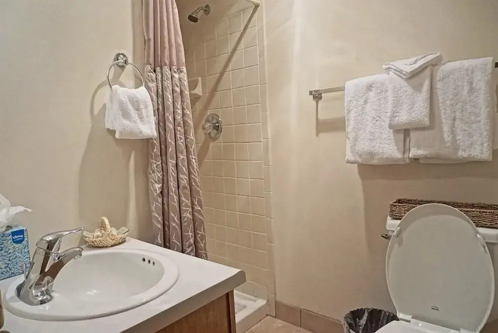 Northstar 213 (385289) - 2 Br Condo