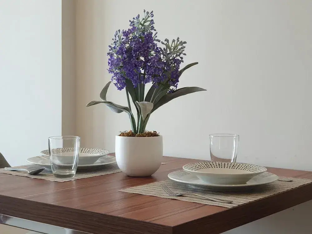 The Astra Luxury Suit condo