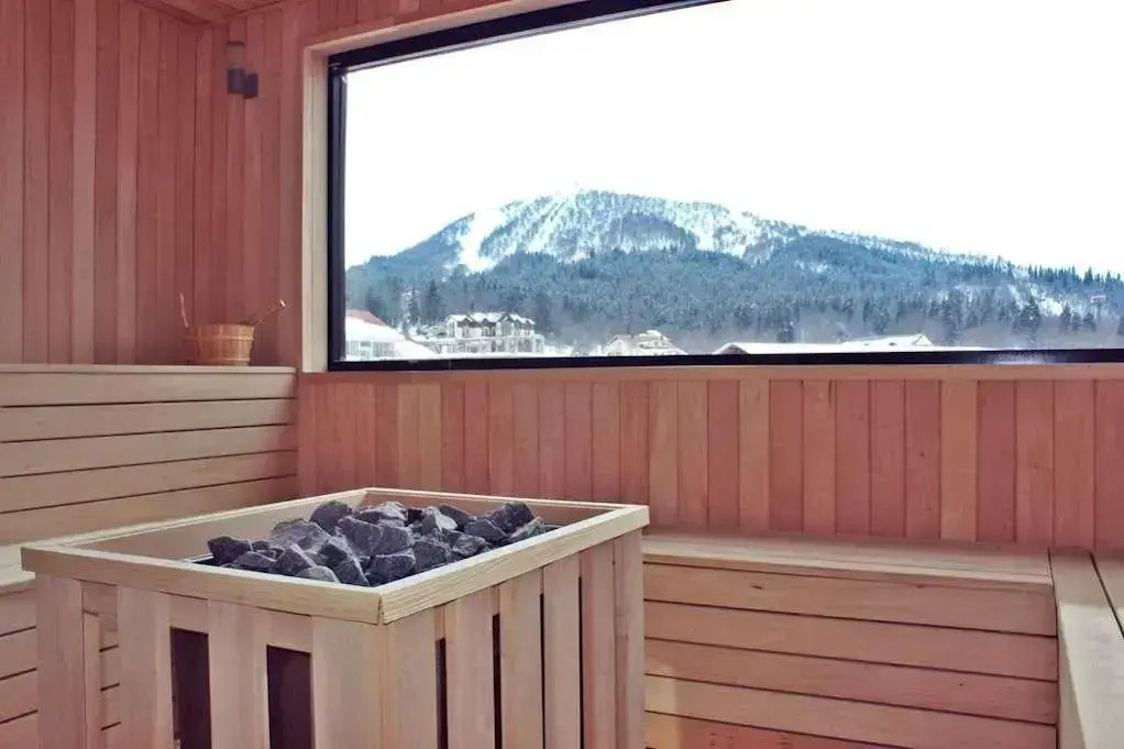 Bakuriani Terrace 8