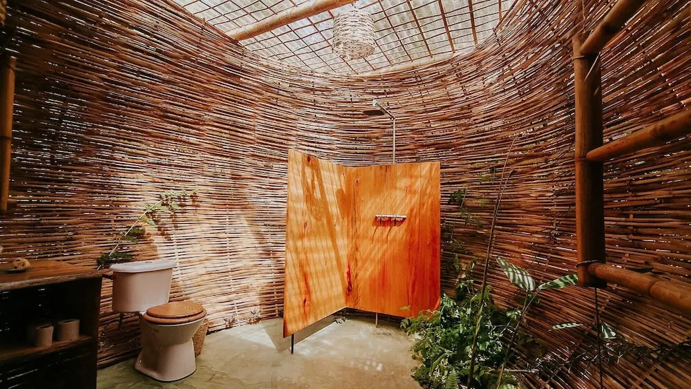 The Seed Habitat