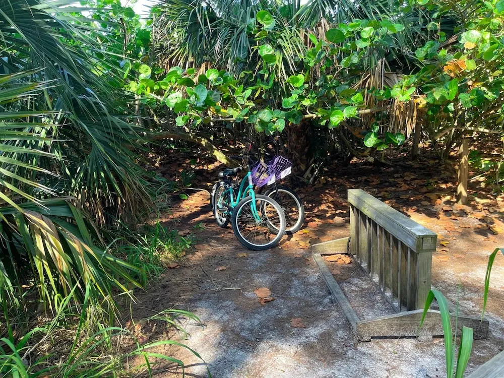 Beach Serenity - Anna Maria