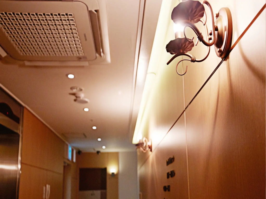 Hotel Skypark Myeongdong Iii
