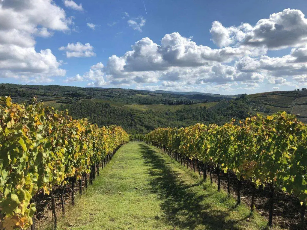 Fattoria di Rignana Winery BnB