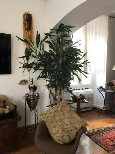 Appartement Centre Ville Bastia