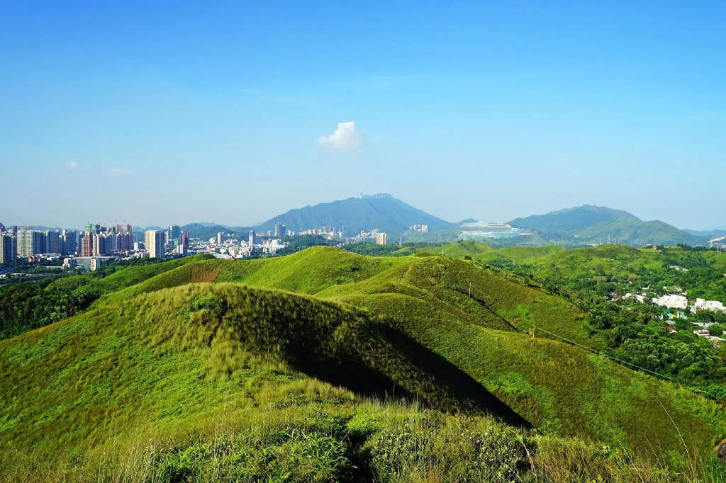 GreenTree Alliance Hotel Shenzhen Luohu District Dongmen Old Street
