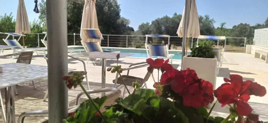 Lem Lem B&B