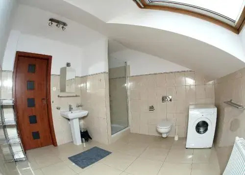 Sokół
