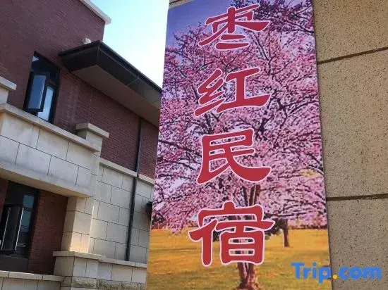 Zaohong Homestay