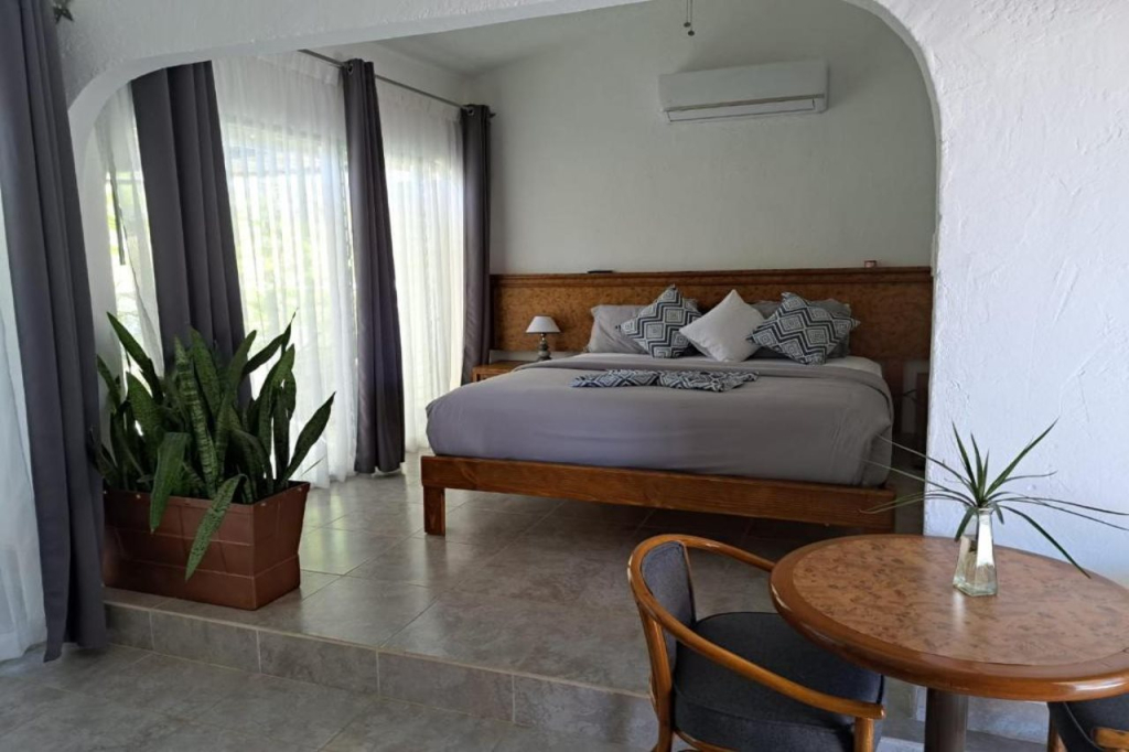 Buena Vista Oceanfront & Hot Springs Resort
