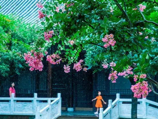 Yinxiu Shangting Hotel