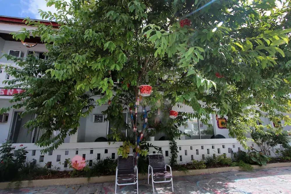 Nettie's Place at Casuarinas