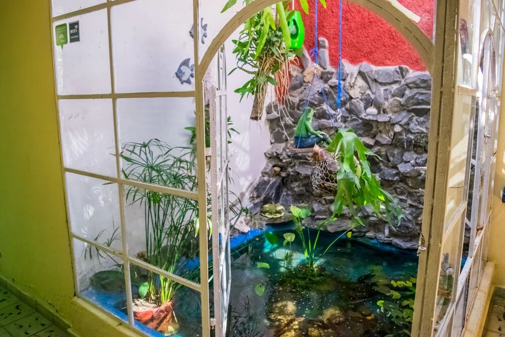 Casa Hostal Bahia Blanca