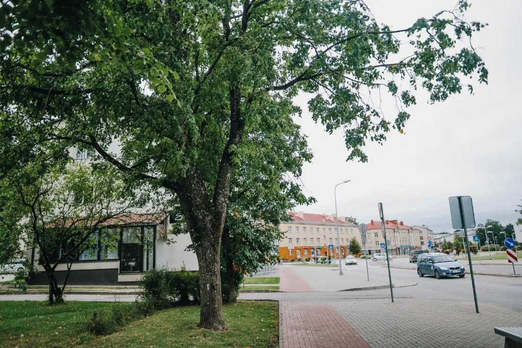 City center Appartment