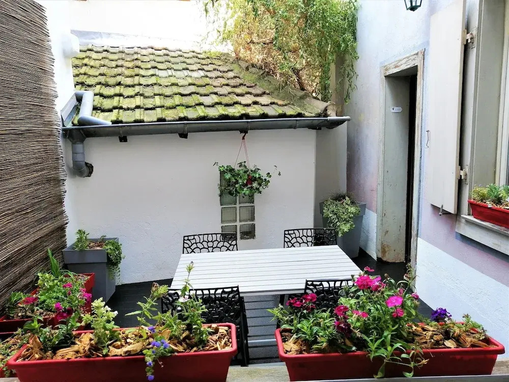 Côté Cour