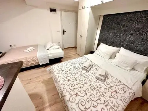 Apartmani Aleksandra u centru grada