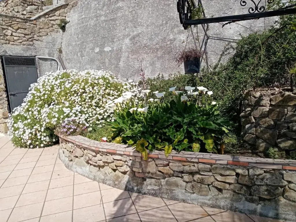 La vecchia fattoria