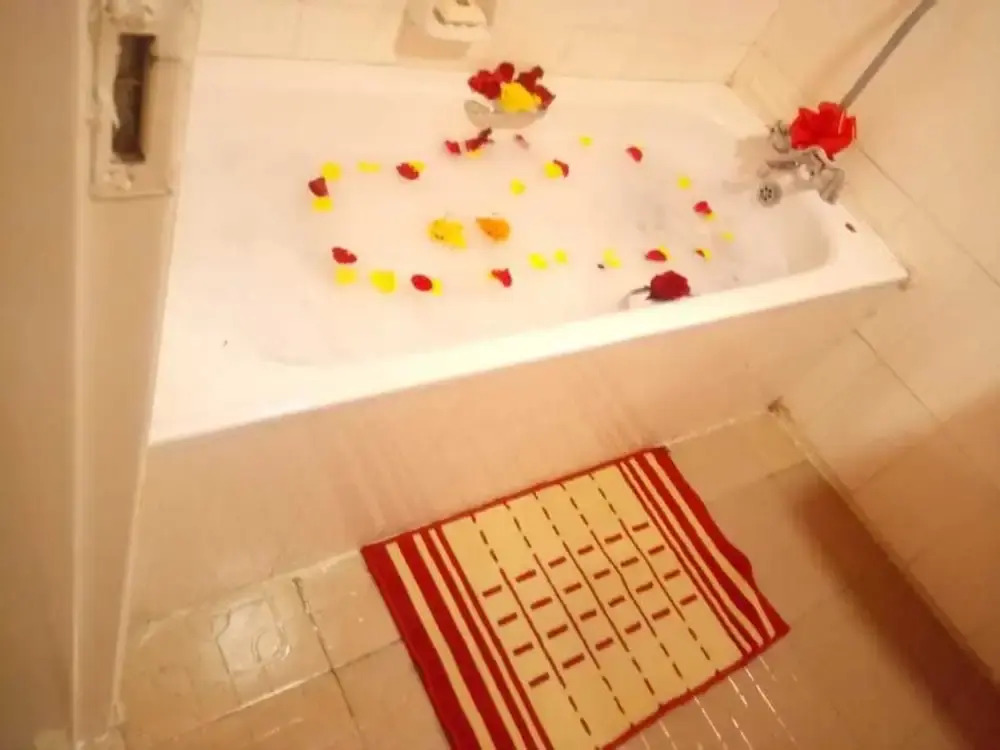 Exquisite Airport Apartment