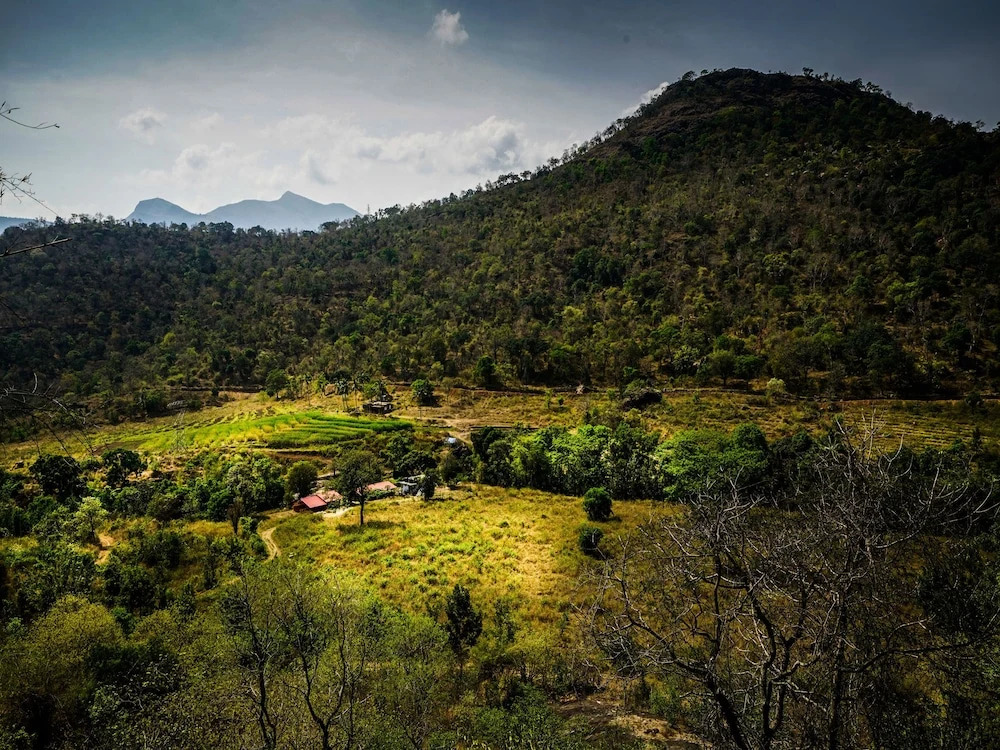 Kerala For Rest Inn