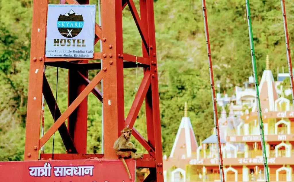 Skyard Hostel Rishikesh Laxman Jhula