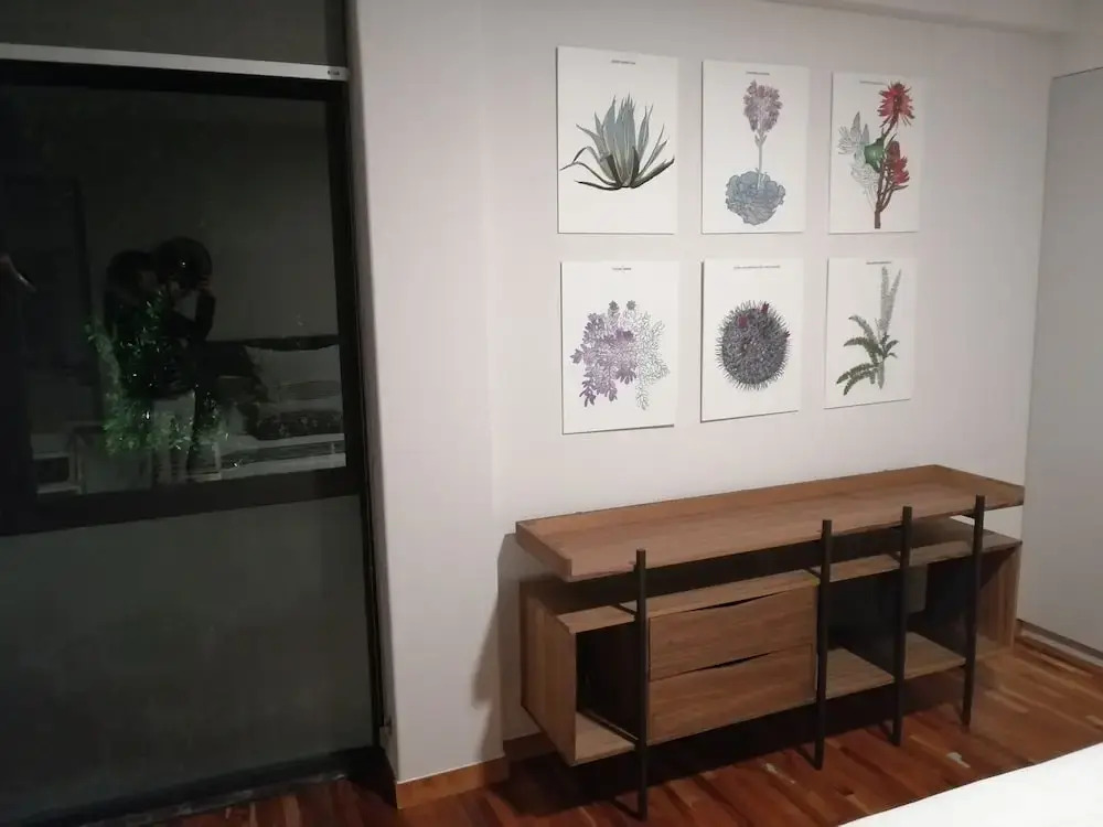 Collection O MO 47