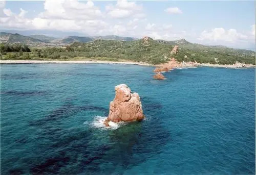 La Pavoncella