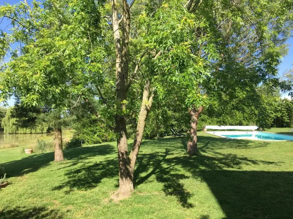 Domaine d'AROMM - Chambres d'hotes & gites - Piscine, Jacuzzi, Etangs & Animaux - Au calme