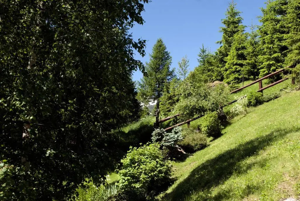 "CHALET dei FIORI" room & apartment