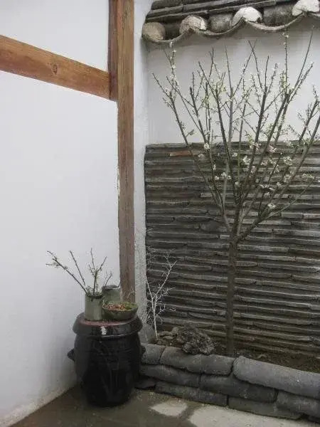 Todaki Guesthouse