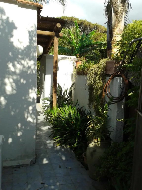 CASA Pitosforo CASA Ulivo
