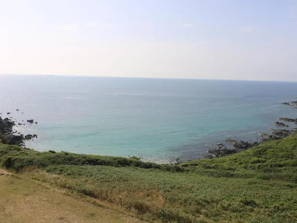 Gannet Watch