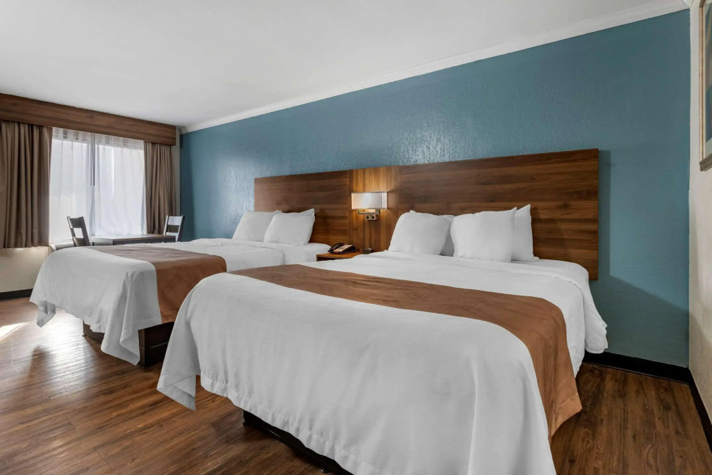 Quality Inn & Suites Ft. Jackson Maingate